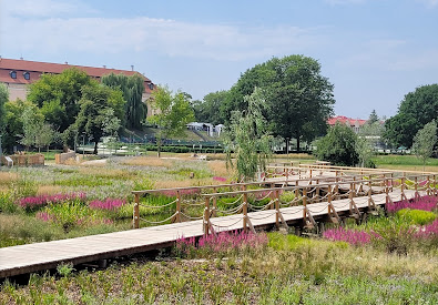 Park Niepołomickie Błonia цікавий парк для відпочинку всією родиною